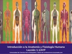 Anatomia y Fisiologia Humana, Lección 1 del curso online Anatomía y Fisiología Aplicada -Curso Online.