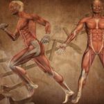 Biomechanics Online Course in London College Osteopathy
